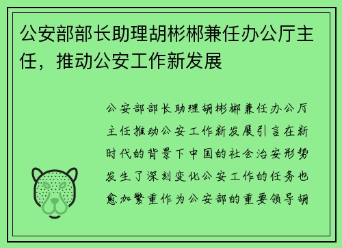 公安部部长助理胡彬郴兼任办公厅主任，推动公安工作新发展