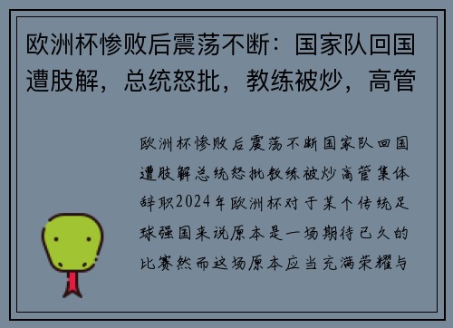 欧洲杯惨败后震荡不断：国家队回国遭肢解，总统怒批，教练被炒，高管集体辞职