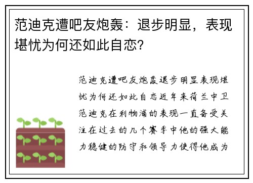 范迪克遭吧友炮轰：退步明显，表现堪忧为何还如此自恋？